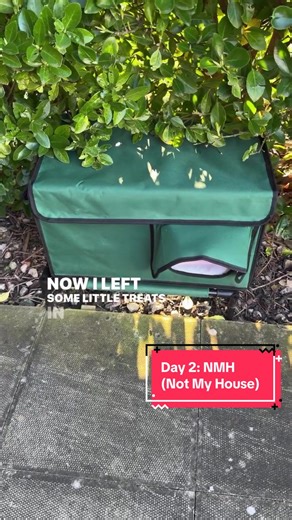 Understanding Cat House Dynamics: Day 2 NMH