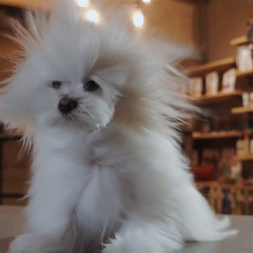 1.2K views · 4 comments | Blown away by #DuracellOptimum  | Duracell | Facebook