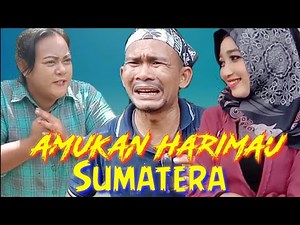 #Comedy_Laughs SUMATRAN TIGER RAGE #Atok_Labu