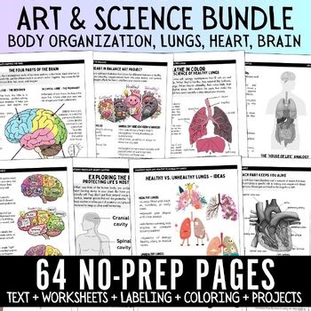 Art Science Bundle: Lungs, Heart, Brain, Body Organization, Labeling, sub plans