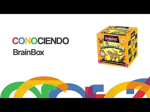 Conociendo BrainBox