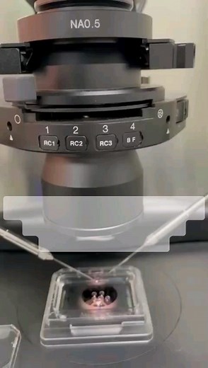 ICSI Procedure !!! #familyivf #ivfspecialists #preganncy #fertilitycentre #ivftechnology #ivftechnology #femalefertility #familyplanning #parenthooddreams #ivf #fertilitytreatment | Family IVF