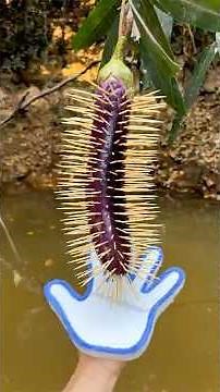 STYROFOAM Gloves Can Help You SURVIVE? #survival #bushcraft #skills