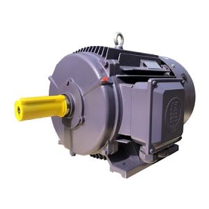 [Hot Item] Good Performance Three Phase Asynchronous Motor Electric Motor with CE