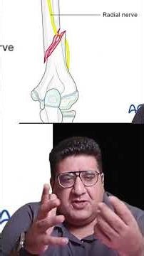 Holstein Lewis Fracture | Radial Nerve Injury #drtusharmehta #orthopaedics #neetpg #inicet #fmge