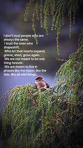 5.4K views · 77 reactions | I don’t trust people who are always the same. I trust the ones who shapeshift. Who let their hearts expand, grieve, shed, grow again. We are not meant to be one thing forever. We are meant to live in phases like the moon, like the tide, like all wild things. | Radically Sunny | Facebook