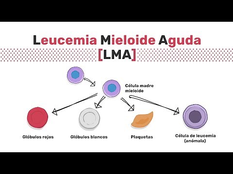 Tipos de leucemia mieloide aguda