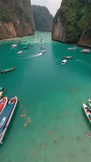 Maya Bay - Phi Phi Island🏝 In Thailand #travel​ #thailand #islandlife #beach #viralshort