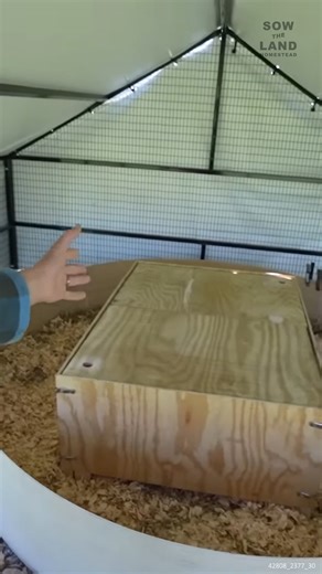 Building an Outdoor Chicken Brooder for 150 Chicks #Chicks #Chickens #BabyChickens #BroodingChickens | Sow the Land