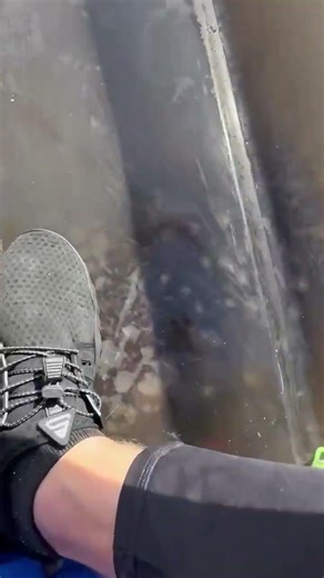 Making new friends in Titusville, FL with our curious manatee visitors is always a magical moment!