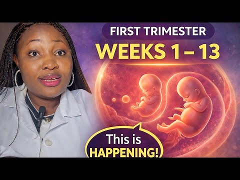 Pregnancy Week by Week (week 1 to 13) | You Can’t See This Yet