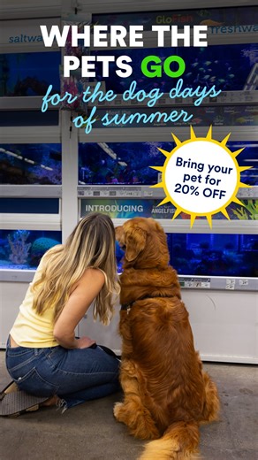 IRL > URL. Bring your pet to Petco for 20% off now through 7/13. Let them pick out their own deals and get some belly rubs while they’re at it! | Petco