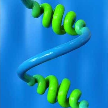 Helix Along Helix (Cinema 4D Tutorial Preview)
