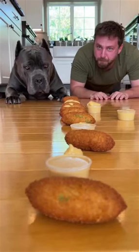 Exciting Dog Race Challenge: Who Will Win?