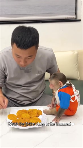 9.6K views · 300 reactions | Cubis and Dad make cakes! Special cake recipe! | Monkey TV | Facebook