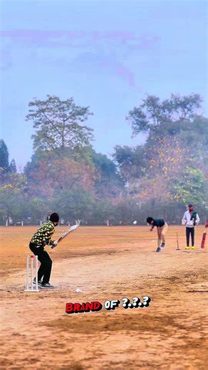 Understanding Action and Reaction in Physics