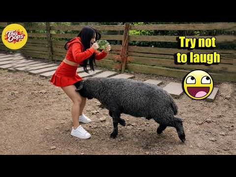 Try Not To Laugh 🤣 Top 100 Funniest Videos Ever 🎬🔥 Memes, Epic Fails & Pranks Compilation Part 65