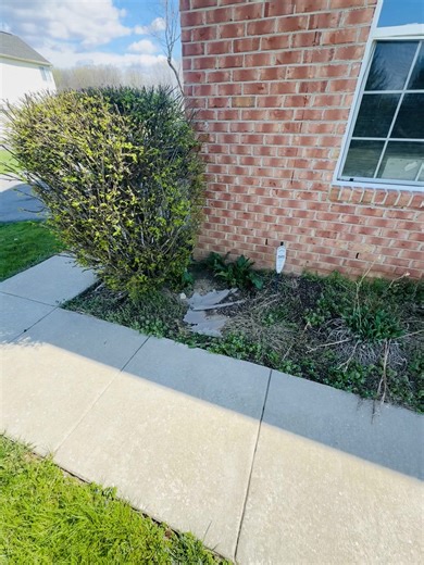 Optimizing Your Workflow for Productivity