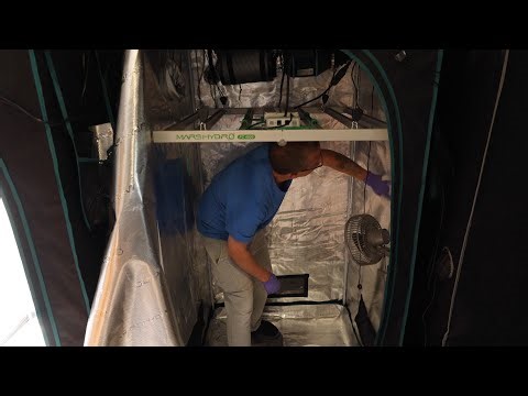 10/15/25 Grow Room Update - I've Got Thrips | MarsHydro FC4800 EVO