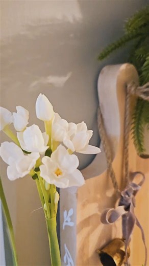 Jennifer Underwood | Creative Designer on Instagram: "On November 15th I showed you a fun experiment I was trying this year - planting Paperwhite flower bulbs in a glass container using only rocks & water. It has been 5 weeks & I now have blooms! It has been so much fun watching them grow and I am excited to have blooms for Christmas!"