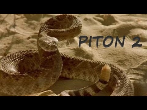 Piton 2 (2001) 🎞