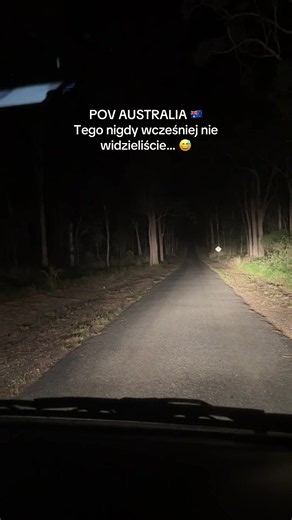PS Nie pojechaliśmy dalej 😂 PS 2 ciekawie byłoby tu iść nocą bez latarki… #ciekawostki #australia #pająk #polska #podróże