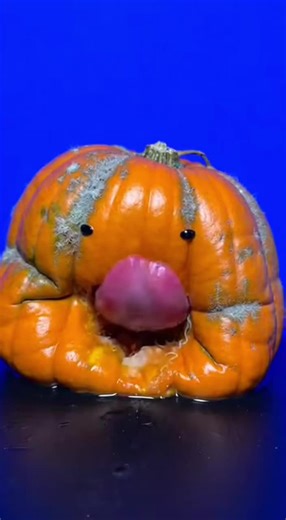 Here are three of the best pumpkin pie recipes—from a classic traditional version to extra-creamy and vegan/dairy-free. All of them highlight the warm spices that make Pumpkin pie such a favorite during holidays like Thanksgiving. 🥧🎃 ⸻ 1. Classic Pumpkin Pie (Traditional & Reliable) 🥧 Why it’s great: Balanced spices, smooth filling, classic flavor. Ingredients \t•\t1 unbaked 9-inch pie crust \t•\t2 cups pumpkin purée \t•\t3/4 cup brown sugar \t•\t2 large eggs \t•\t1 cup heavy cream \t•\t1/2 c