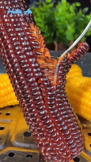 Enjoy Beautiful Fruits.. | Amazing-Things