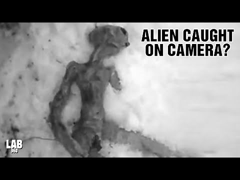 Top Alien Encounters Caught on Camera