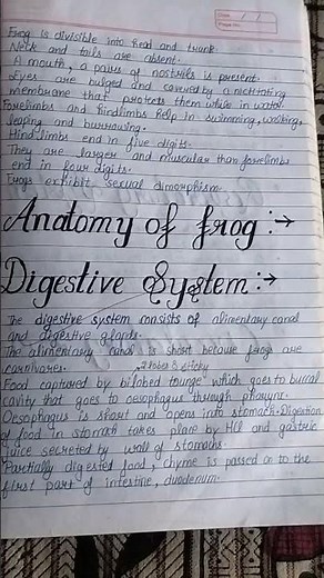 Class 11th biology chapter 7 structural organisation in animals #neet
