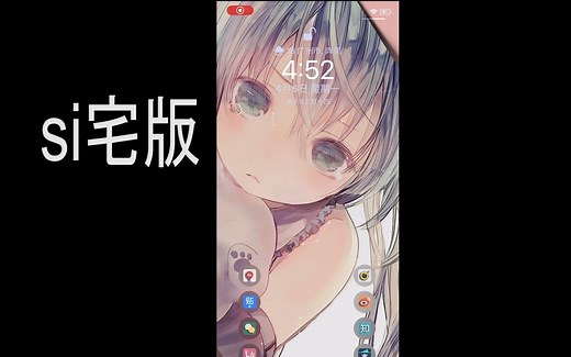 IOS13越狱美化分享(欢迎探讨抓包，圈X，网球，锤子，SURGE，JSBOX)