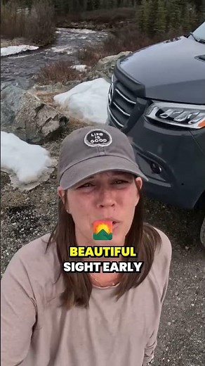 An Alaskan's Favorite Denali Highway Camping Spot