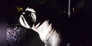 S.C. State to forgive $9.8 million in student debt