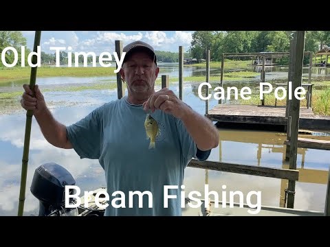 How To Build A Cane Pole That Really Catches Fish. ‪@ggfarms9136‬