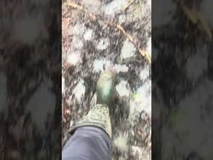 Quiet Countryside Mud Walk ASMR (No Talking)