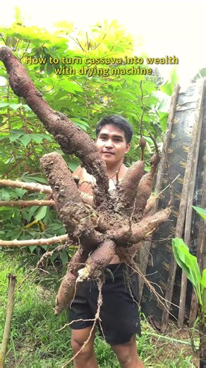 Drying equipment on TikTok