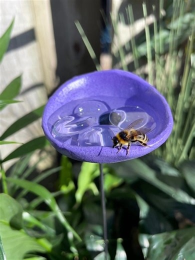 Dear America, Last weekend, millions filled the streets shouting “No Kings.” I learned precision in Kandahar—dismantling IEDs, not monarchies. Lost my right foot to a landmine that didn’t care about flags, slogans, or who wore the bigger hat. I wasn’t built for chanting. I was built for fixing, shaping, rebuilding. So I made Bee Watering Stations—tiny republics of mud and water, where no one rules and everyone drinks. Every piece is hand-thrown, kiln-fired, and as imperfect as democracy itself. 