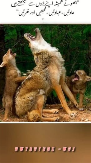 #foryou #lifelesson #difficultlanguage #quotes #lifelesson #poetry