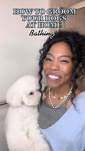 At-Home Dog Grooming Tips for Pet Owners