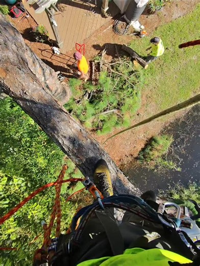 5.7K views · 441 reactions | Most of the climbing I do these days is crane work. Good to know I can still hang. It's nice to mix it up and have a different pace .#arborist #treeclimber #tree #man #hardwork | Travor Ahern | Facebook