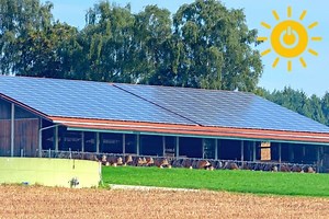 Benefits of Using Solar Panels on a Dairy Farm