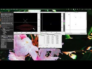 Automated peak picking and chemical shift assignments of protein NMR spectra (Abigail Chiu)