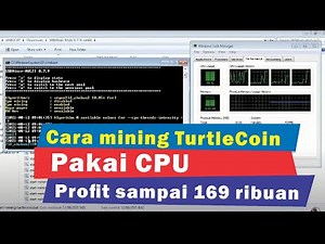 Cara mining TurtleCoin buat wallet pakai SBMiner hanya pakai CPU sampai Profit 169 ribuan