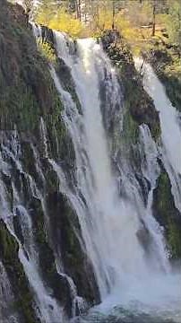 Burney Falls: Northern California’s Most Magical Cascade #burneyfalls #travel #shorts #waterfall
