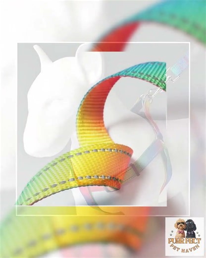 Creative Color Dog Leash Pet Vest Harness