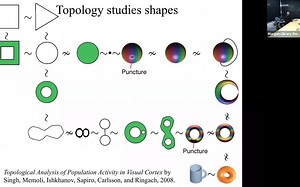 An introduction to persistent homology 持久同源性介绍
