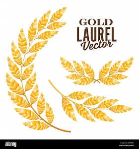 Gold Laurel Vector. Elements For Award Design Stock Vector Image & Art - Alamy