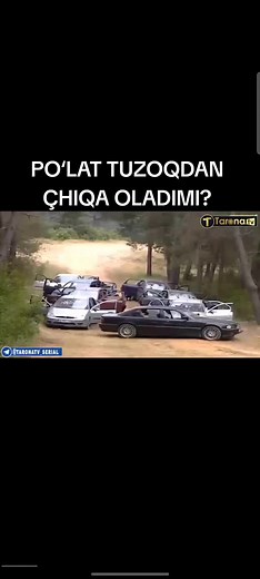 #qashqirlarmakoni