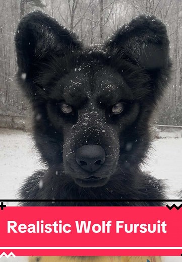my first ever realistic fursuit, a black wolf made from a 3D printed base originally by fromsiberiacrafts (DO NOTE - this seller is a known scammer who has stolen thousands from customers so I would not recommend buying from them) vision and ventilation are shockingly good, i wore it outside for 8 hours without breaks at the ren faire in full garb two months ago which really speaks for itself #fursuit #furry #realisticfursuit #wolffursuit