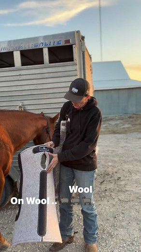 54K views · 1K reactions | 樂 How wool fibers stick together Surface...